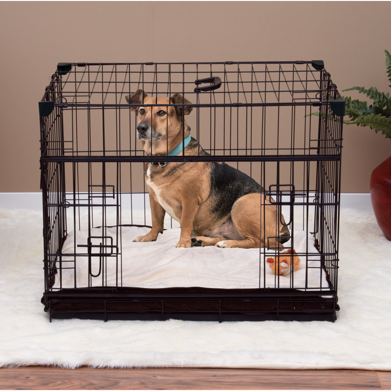 Tucker Murphy Pet Seaforth Sliding Double Door Pet Crate & Reviews Wayfair.ca